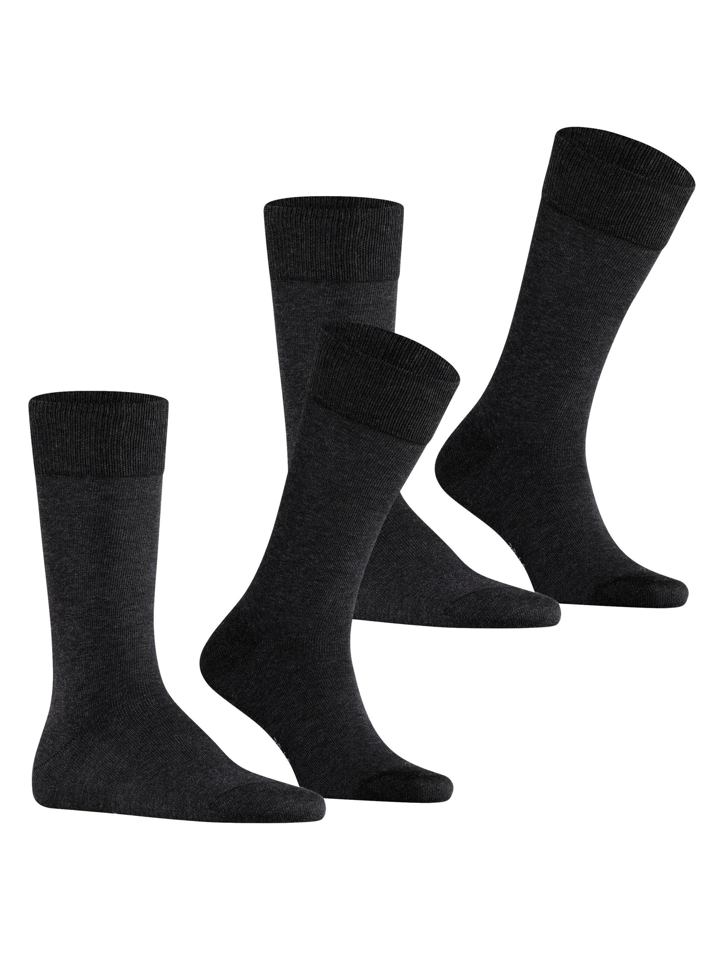 FALKE Socks 'Happy 2-Pack' in Grey