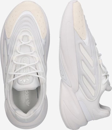 Baskets basses 'Ozelia' ADIDAS ORIGINALS en blanc