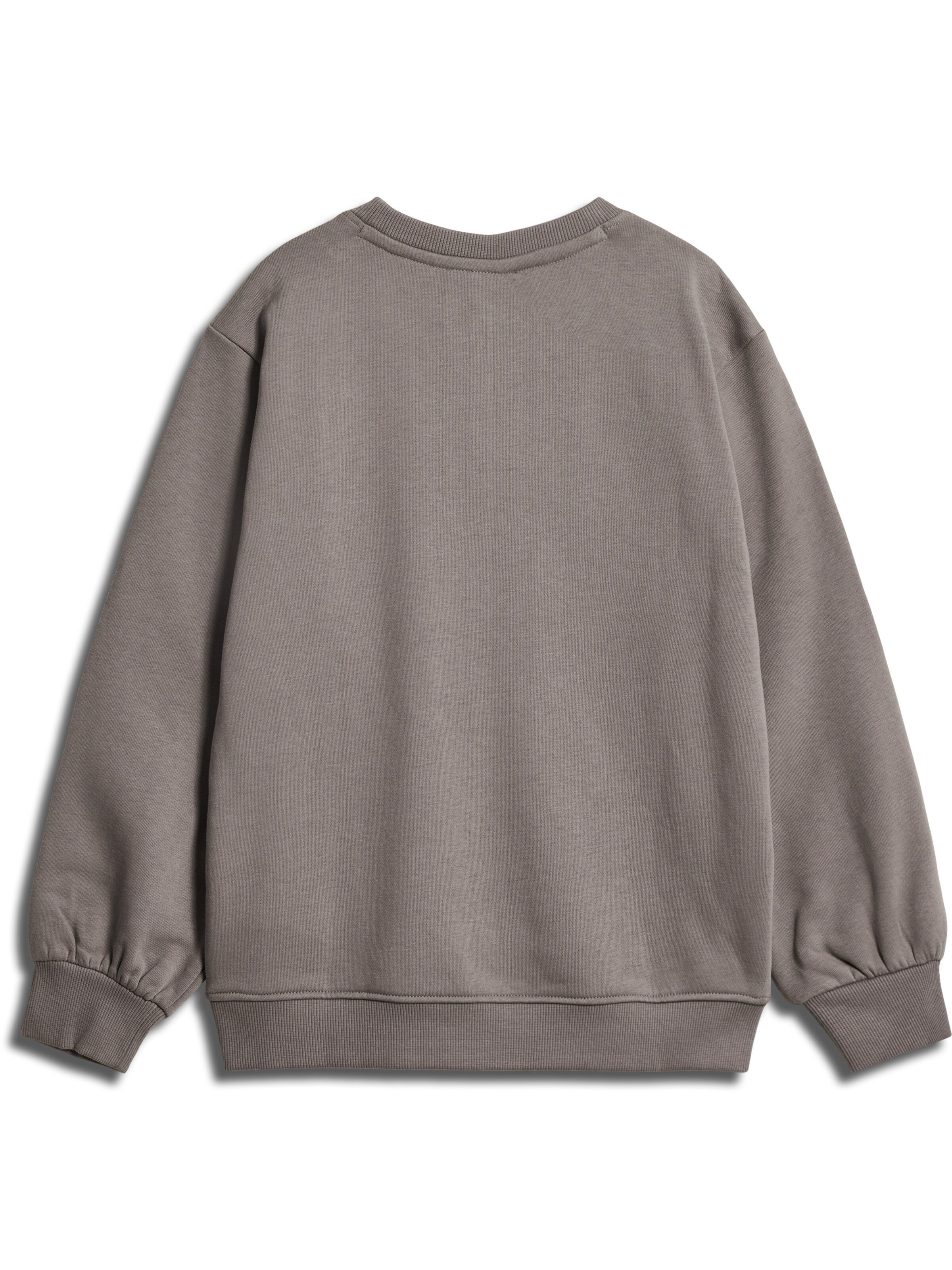 SOMETIME SOON Sweatshirt i grå