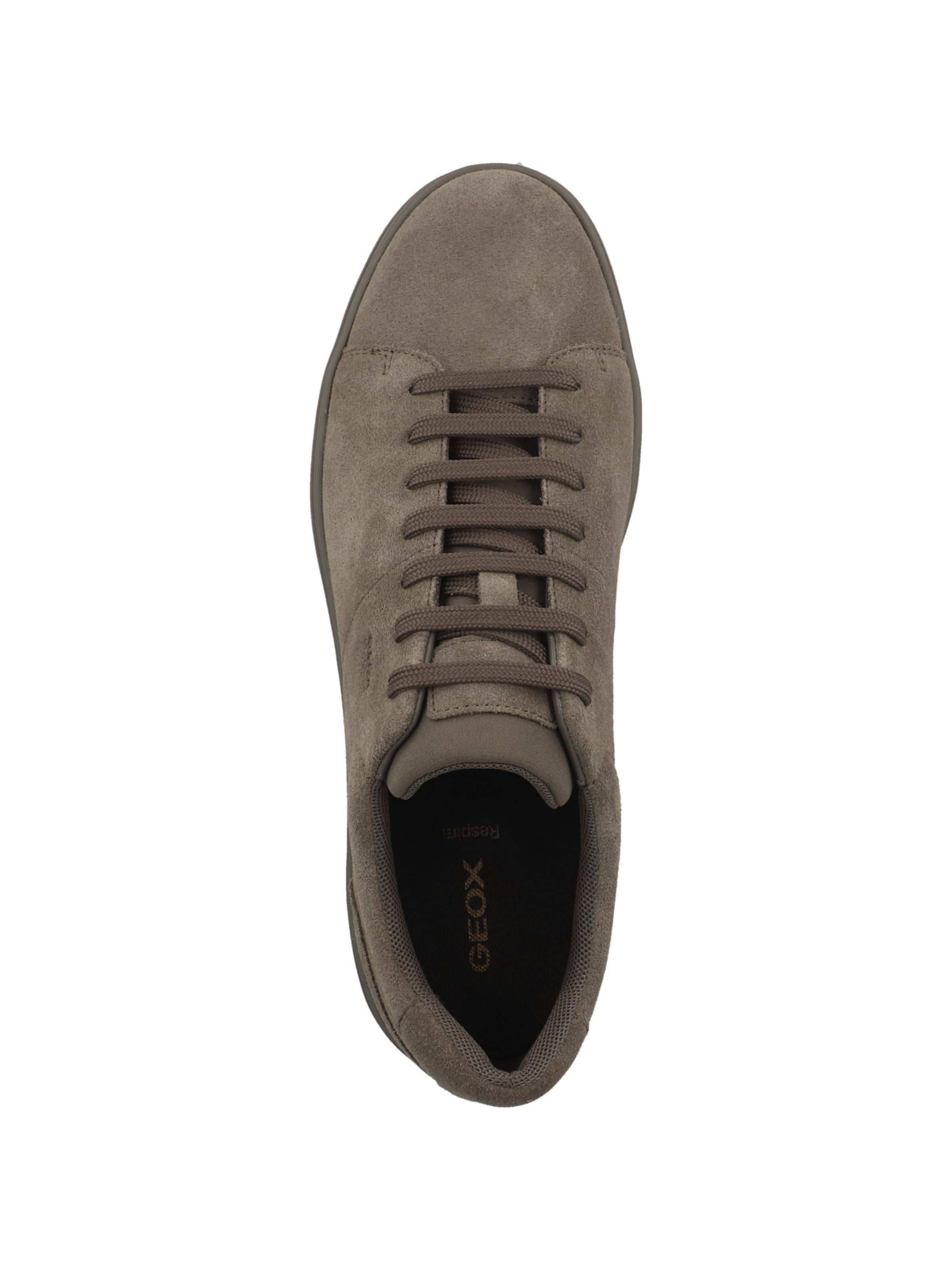 GEOX Sneakers 'U Baltmoore A' in Brown