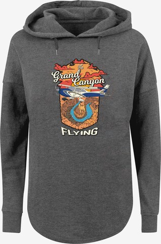 F4NT4STIC Sweatshirt 'Grand Canyon Flying' in Grijs: voorkant