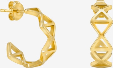 Sofia Milani Ohrringe in Gold: Vorderseite