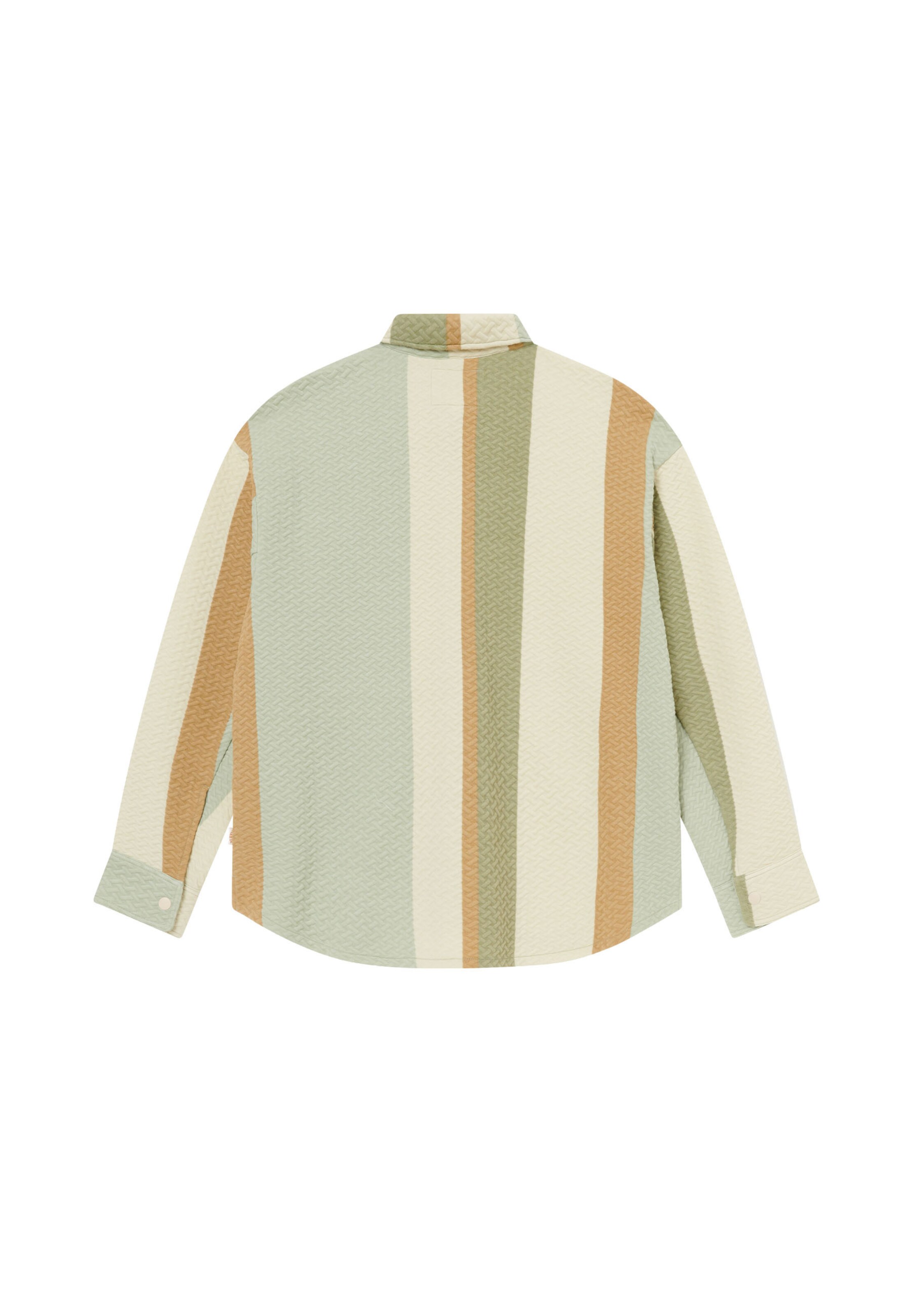 Regular fit Camicia di BLKVIS in verde