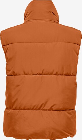 JDY Bodywarmer 'ERICA' in Oranje