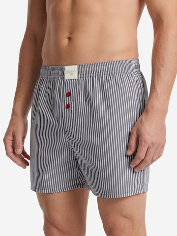 Boxers ' Combo ' Phil & Co. Berlin en bleu