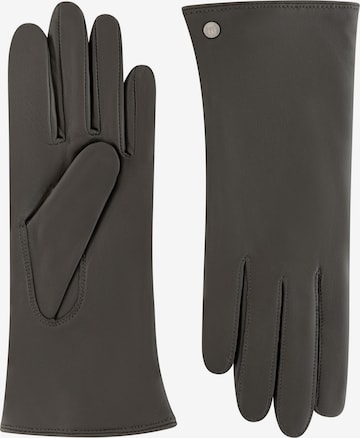 Gants 'PAVIA' Roeckl en gris : devant