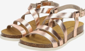 Kickers Strap Sandals in Gold