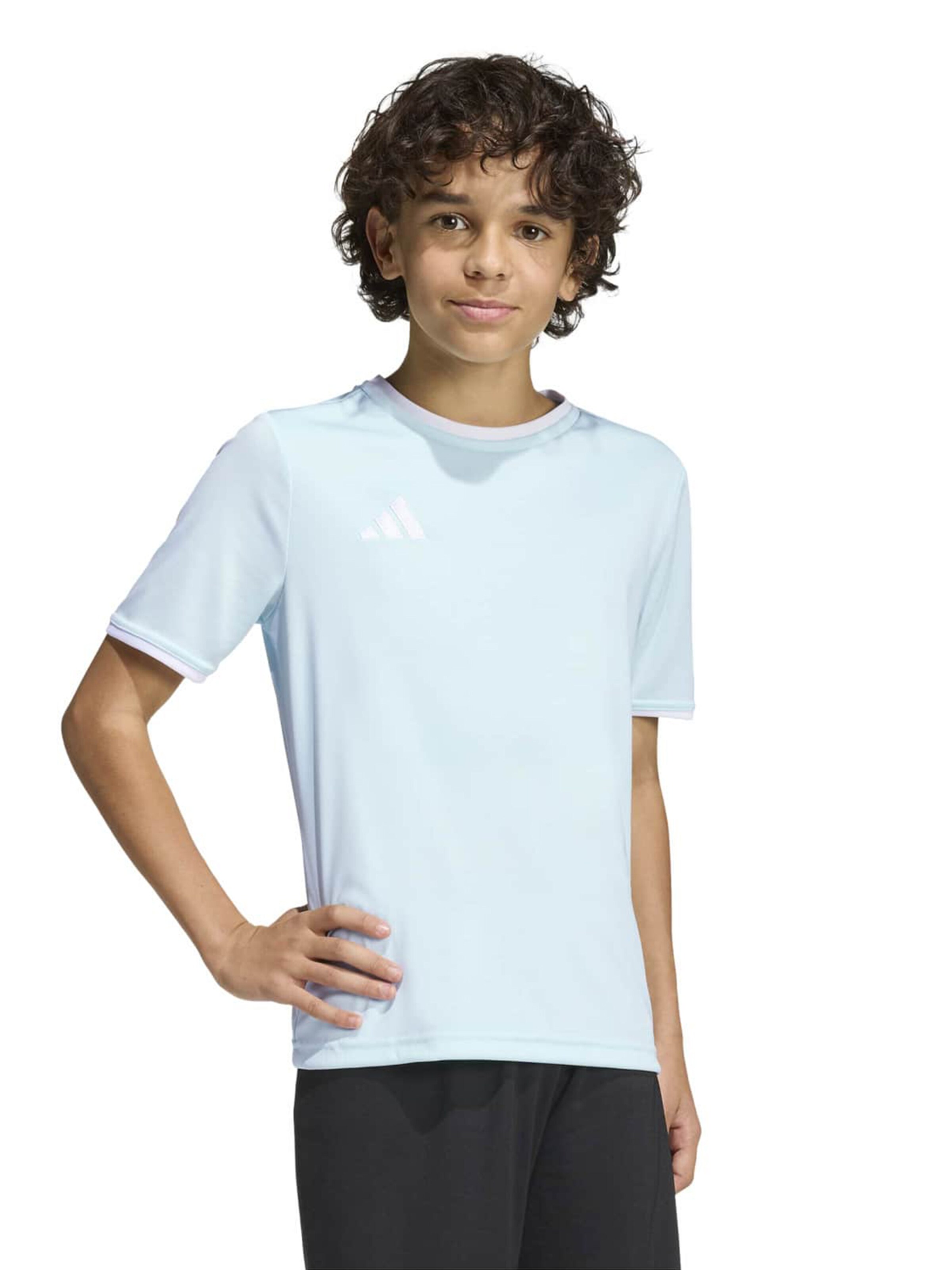 ADIDAS PERFORMANCE Funkčné tričko 'ENT26' - Zelená: predná strana