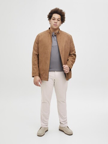 Jack & Jones Plus Slimfit Chino in Grijs