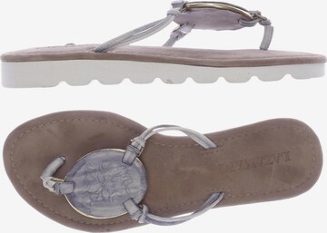 LAZAMANI Sandals & High-Heeled Sandals in 38 in Grey: front