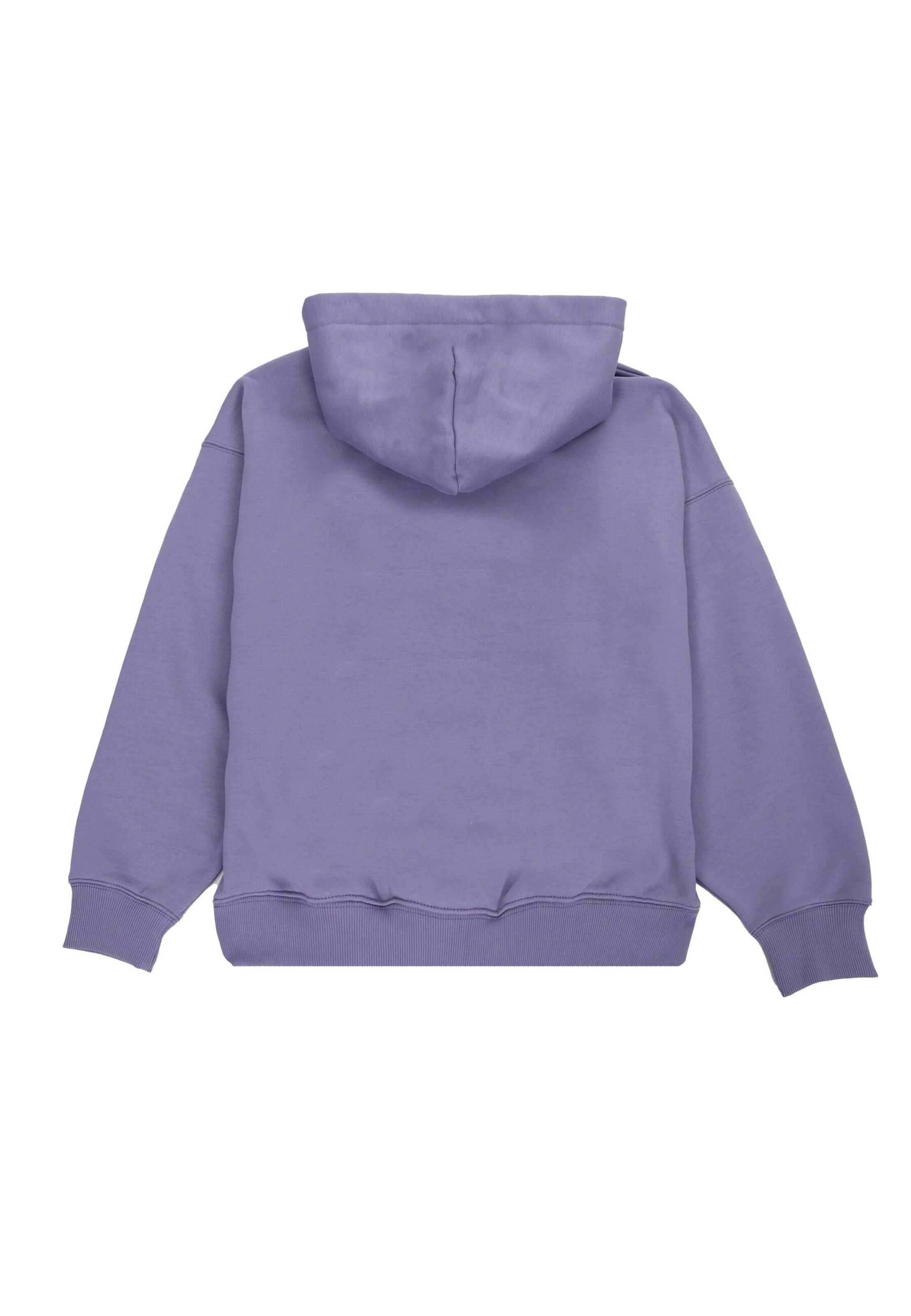 Dropsize Μπλούζα φούτερ σε λιλά