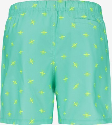 Shiwi Board Shorts in Green