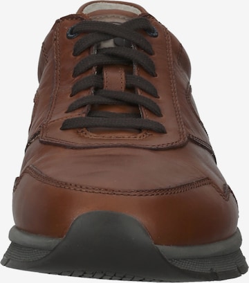 Pius Gabor Sneakers laag in Bruin