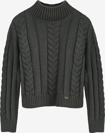 Polo Club Sweater in Grey: front