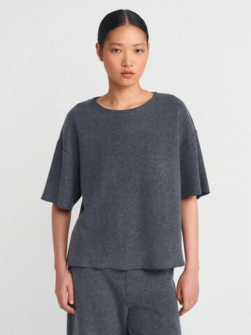 Dilvin T-Shirts in Grau: Vorderseite