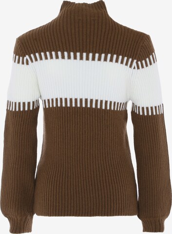 FENIA Sweater in Brown