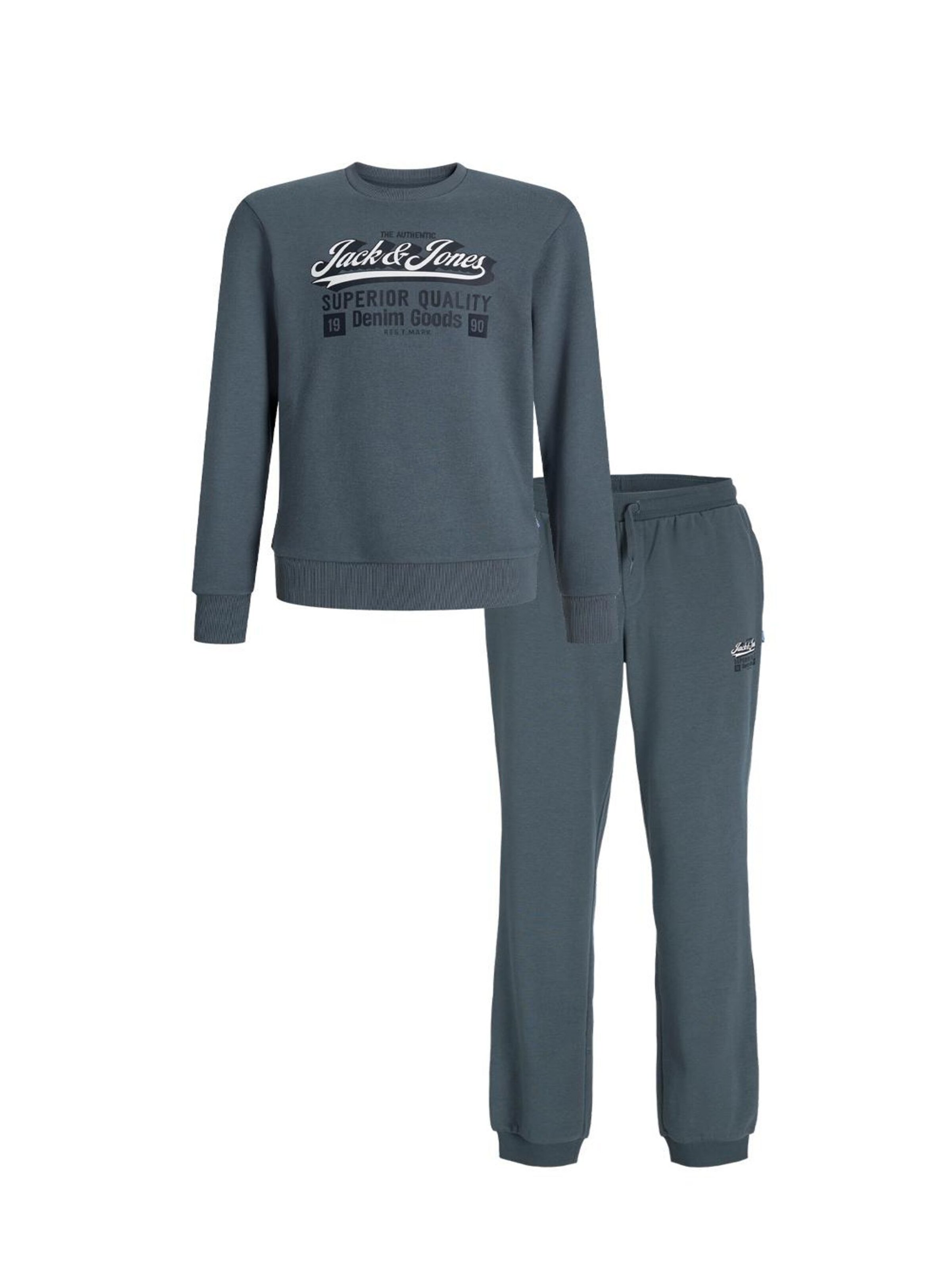 JACK & JONES MINI Sweatshirt in Grey: front