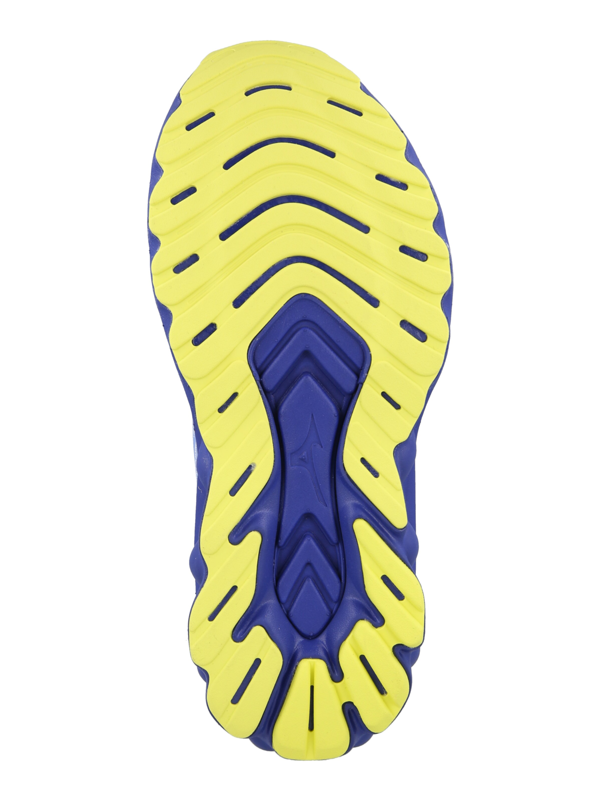 MIZUNO Обувь для бега 'WAVE SKYRISE 7' в Синий