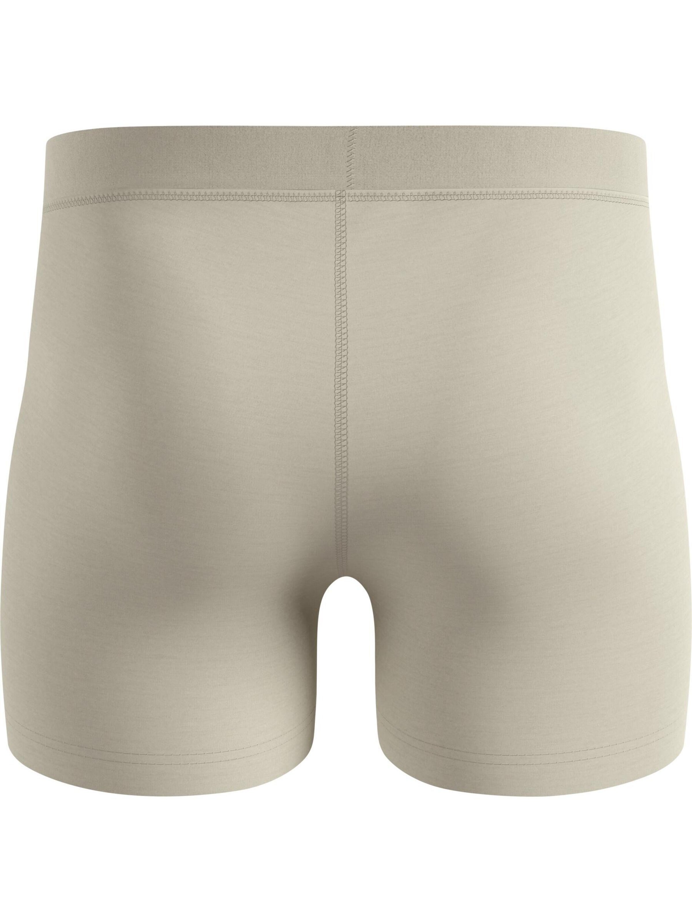 ODLO Sports underpants in Grey