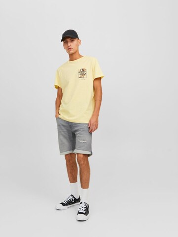 JACK & JONES Regularen Kavbojke 'Rick' | siva barva