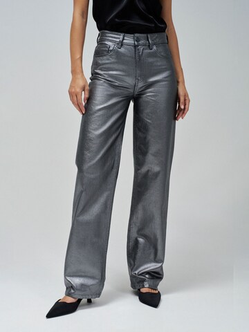 Salsa Jeans Regular Trousers in Grey: front