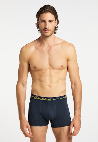 Schmuddelwedda Boxer shorts in Blue: front