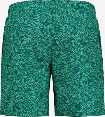 Shiwi Board Shorts in Green