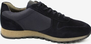 Pius Gabor Sneaker in Blau