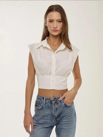 Hiccup Blouse in White: front