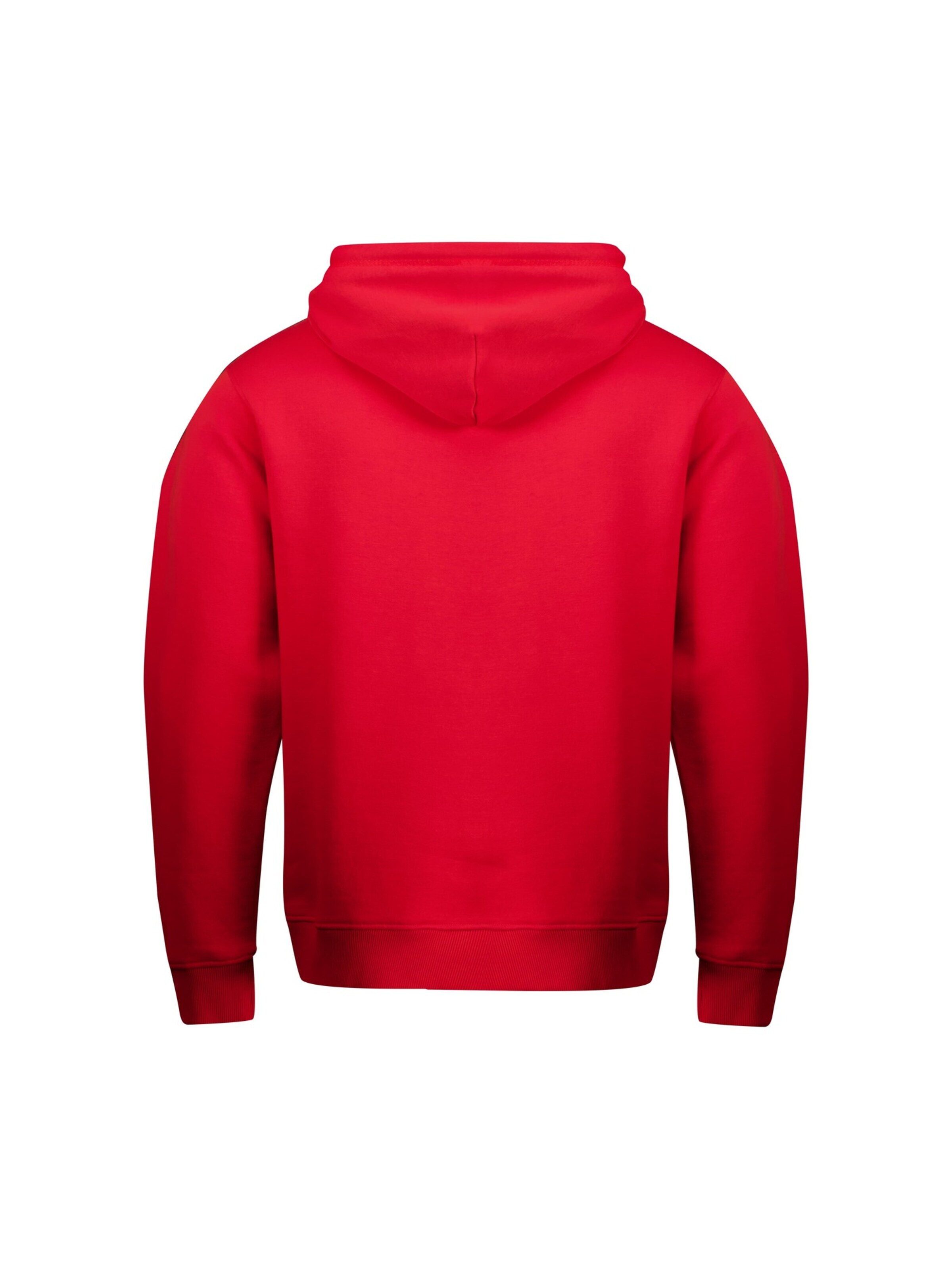 Deeluxe Sweatshirt 'Refresh' in Rot