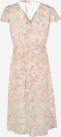 River Island Petite Dress in Mixed colors
