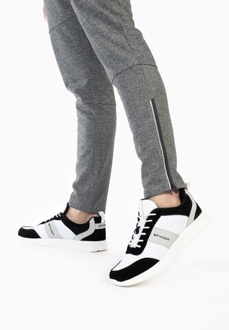 Sneaker bassa 'Alfa' di Spyder in nero: frontale