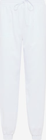 RISA Tapered Pants in White: front