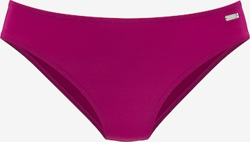 Slip costum de baie de la BUFFALO pe mov: față