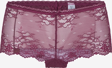 Culotte LingaDore en violet : devant