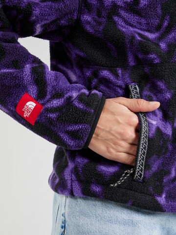 THE NORTH FACE Sweater 'FLEESKI' in Purple