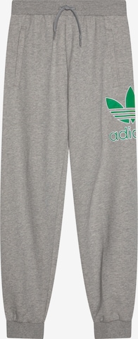 ADIDAS ORIGINALS Hose in Grau: Vorderseite