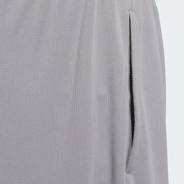 Loosefit Pantaloni sportivi 'Basketball Badge of Sport' di ADIDAS PERFORMANCE in grigio