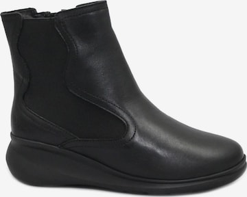 MELLUSO - Botas chelsea em preto: frente