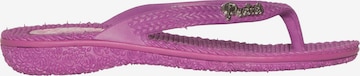 PROTEST Slipper 'STAMP JR' in Purple: front