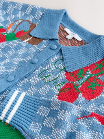 Next Strickjacke in Blau