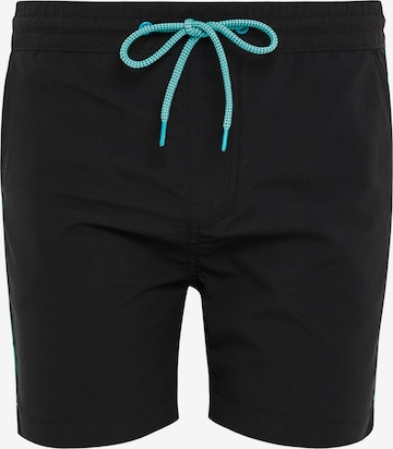 Threadbare Board Shorts 'Briar' in Black: front