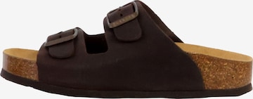 Plakton Pantolette in Braun: Vorderseite