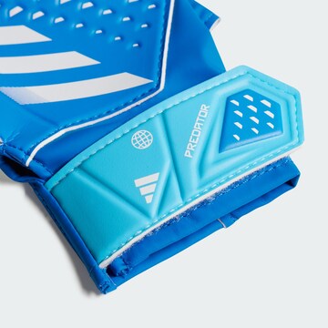 ADIDAS PERFORMANCE Athletic Gloves 'Predator' in Blue