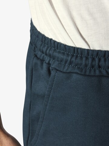 Jan Vanderstorm Loosefit Broek 'Permarsen' in Blauw