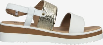 IGI&CO Strap Sandals in White