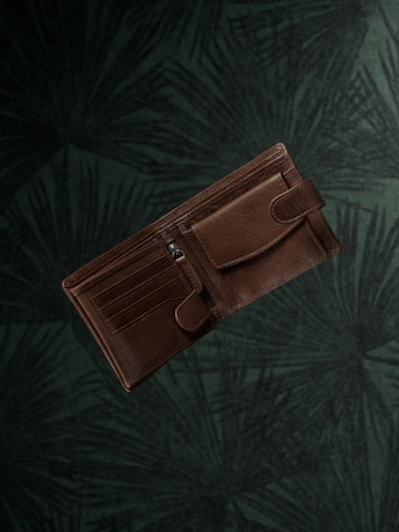 Lucleon Wallet 'California' in Brown