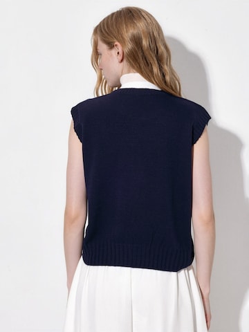Pullover di Hiccup in blu