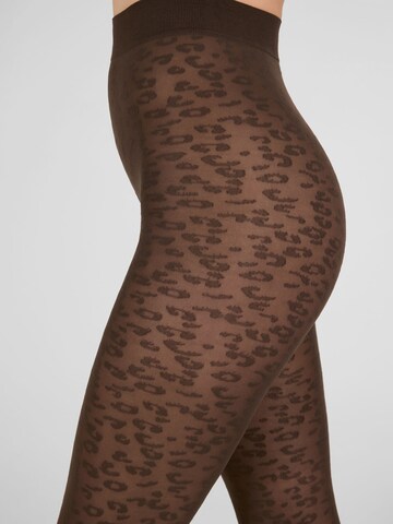 camano Fine tights in Brown