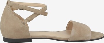 GERRY WEBER Strap Sandals in Beige